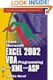 MS Excel 2002 VBA/XML Programming and ASP