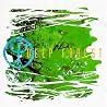 Image of album by Deep Forest