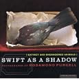 Swift as a Shadow by Rosamond Wolff Purcell