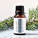Juniper Berry Essential Oil by Simply Earth - 15 ml, 100% Pure Therapeutic Grade