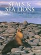 Seals and Sea Lions: A Portrait Of The Animal World