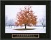 Endurance - Fall Tree Framed Fine Art Poster Print, 29x23