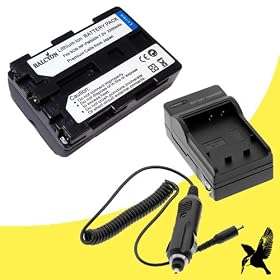 Halcyon 2200 mAH Lithium Ion Replacement Battery and Charger Kit for Sony Alpha SLT-A77 24.3 MP Digital DSLR Camera and Sony NP-FM500H