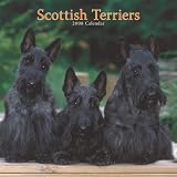 Scottish Terriers 2008 Square Wall