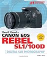 David Busch's Canon EOS Rebel SL1/100D Guide to Digital SLR Photography (David Busch's Digital Photography Guides)