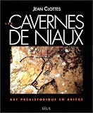 Les cavernes de Niaux: Art prehistorique en Ariege (Collection Arts rupestres )