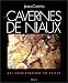 Les cavernes de Niaux : art prehistorique en Ariege