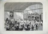 1873 LECTURE COOKERY INTERNATIONAL EXHIBITION FINE ART
