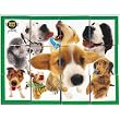 Hana Deka Dog Block Puzzle 9pc