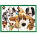 Hana Deka Dog Block Puzzle 9pc