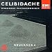CELIBIDACHE / M&uuml;nchner Philharmoniker - Bruckner: Symphony No. 4