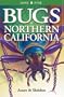 Bugs of Northern California