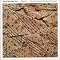 Favorite Paul Motian