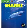 Shark (Really Wild)
