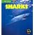Sharks (Really Wild)
