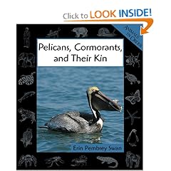Pelicans, Cormorants, and Their Kin (Animals in Order)