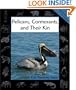 Pelicans, Cormorants, and Their Kin (Animals in Order)