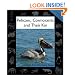 Pelicans, Cormorants, and Their Kin (Animals in Order)