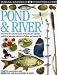 Pond and River