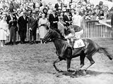 Milford Horseracing and Jockey Lester Piggott Photographic Poster
Print, 30x40