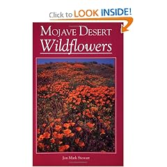 Mojave Desert Wildflowers