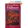 Mojave Desert Wildflowers