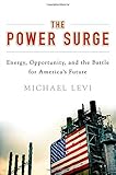 Power surge : energy, opportunity, and the battle for America's future