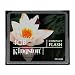 High Speed Kingston Compact Flash-Speicherkarte - 4 GB (CF/4GB) für Canon EOS-10D, EOS-1D, EOS-1D Mark II, EOS-1D Mark II N, EOS-1D Mark III, EOS-1Ds, EOS-1Ds Mark II, EOS-1N, EOS-20D Digital, EOS-300D, EOS-30D, EOS-350D, EOS-40D, EOS-5D, EOS-D30, EOS-D60, EOS-DCS 5, EOS-DCS2000, EOS -Digital Rebel, EOS-Digital Rebel XT, EOS-Digital Rebel XTi PowerShot S1 IS, S10, S100 Digital ELPH, S110 Digital ELPH, S20, S200 Digital ELPH, ELPH Digital S230, S500 Digital ELPH, S60, S70, S80, S30 , ELPH Digital S300, S330 Digital ELPH, S40, S400, S400 Digital ELPH, S410 Digital ELPH, S45, S50, Nikon D1, D1 Pro, D100, D1H, D1X, D200, D2H Set, Set D2Hs, D2X, D2Xs, D70 , Outfit D70, D70s Digitalkamera