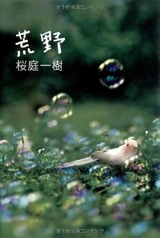 荒野