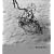 Josef Koudelka