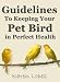 Guidelines to Keeping Your Pet Bird in Perfect Health