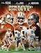 Joe Montana, Steve Young & Jerry Rice Autographed San Francisco 49ers 16x20 Photo Collage
