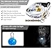Dog Whistle Kit - To Stop Barking and Training - Includes: Whistle , Lanyard, Collar Led Light Clip On