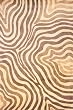 Hand Tufted Chinese "New Wave Collection" Rug