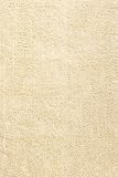 Chenille Shag Rug 4'x6' Ivory