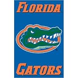 Florida Gators NCAA Applique Banner Flag (44x28)