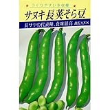 そら豆 種 さぬき長莢早生 小袋（約30ml）