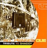 All Praises Due - T Shaggy