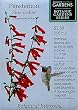 Penstemon Firecracker Seeds Botanical Gardens Series 120 Seeds