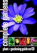 Complete Gardens Interactive Plant Finder & Gardening Guide (CD-ROM)