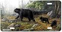 Northern Explorers - Bears - Wildlife Art Print - License Plate Tag By Hautman Brothers From Airstrike