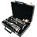 LJ Hutchen Clarinet with Hardshell Case