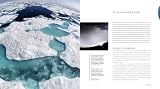 picture of Frozen Planet