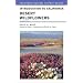 Introduction to California Desert Wildflowers (California Natural History Guides)