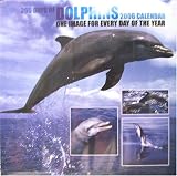 365 Days of Dolphins 2006 Calendar
