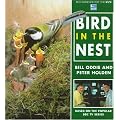 Bird in the Nest