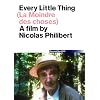 Every Little Thing [DVD]