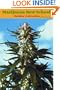 Marijuana New School Outdoor Cultivation