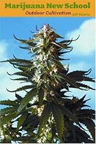 Marijuana New School Outdoor Cultivation