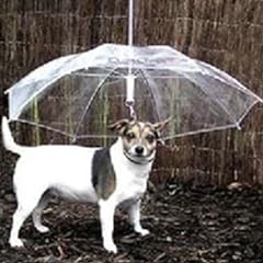 ペット アンブレラ 愛犬 ワンちゃん専用傘 雨の日でも楽しくお散歩